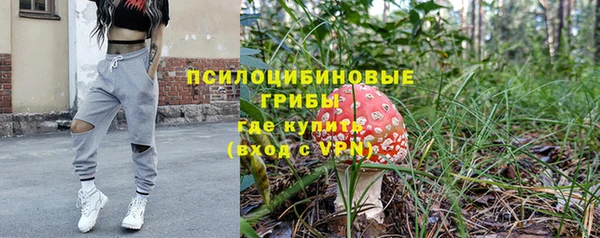 героин Алексин