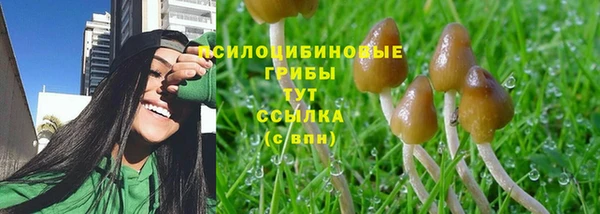героин Алексин