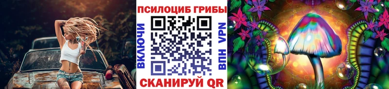 Галлюциногенные грибы мицелий  Новочеркасск 